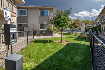 a grassy area with a tree and bench in front of an apartment building
